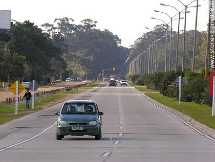 Avenue of Americas - Department of Canelones - URUGUAY. Photo #31620