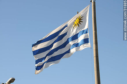 Uruguayan flag -  - MORE IMAGES. Photo #31885