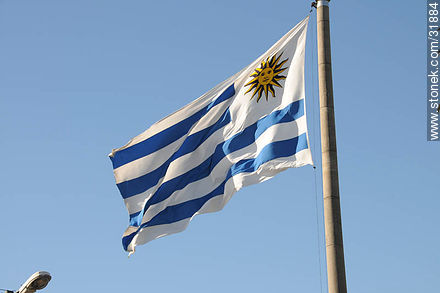 Uruguayan flag -  - MORE IMAGES. Photo #31884
