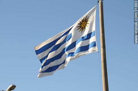 Bandera uruguaya -  - IMÁGENES VARIAS. Foto No. 31883
