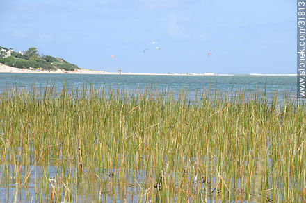 Arroyo maldonado en su desembocadura en el océano Atlántico - Punta del Este y balnearios cercanos - URUGUAY. Foto No. 31813
