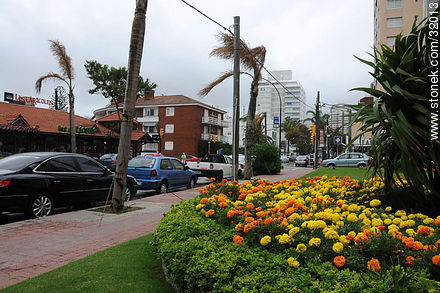 Calle 20 - Punta del Este y balnearios cercanos - URUGUAY. Foto No. 32013