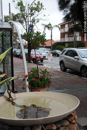 Calle 20 El Remanso - Punta del Este y balnearios cercanos - URUGUAY. Foto No. 32021