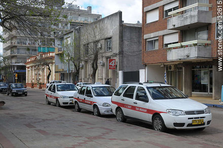 Taxis de Tacuarembó - Departamento de Tacuarembó - URUGUAY. Foto No. 32615