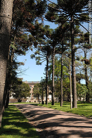 Facultad de Agronomía. - Departamento de Montevideo - URUGUAY. Foto No. 32689