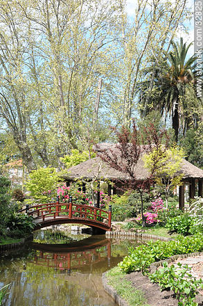 Jardín Japonés en primavera - Departamento de Montevideo - URUGUAY. Foto No. 32825