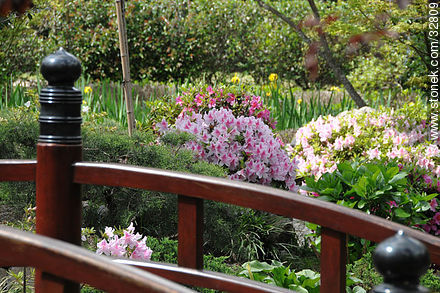 Jardín Japonés en primavera - Departamento de Montevideo - URUGUAY. Foto No. 32809