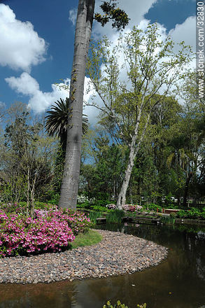 Jardín Japonés en Primavera - Departamento de Montevideo - URUGUAY. Foto No. 32830