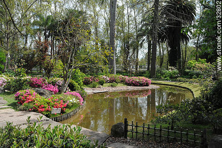 Montevideo Japanese Garden. - Department of Montevideo - URUGUAY. Foto No. 32802