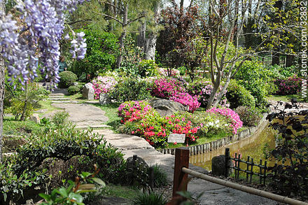 Jardín Japonés en Primavera - Departamento de Montevideo - URUGUAY. Foto No. 32832
