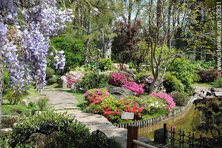 Jardín Japonés en Primavera - Departamento de Montevideo - URUGUAY. Foto No. 32831