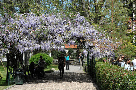 Jardín Japonés en Primavera - Departamento de Montevideo - URUGUAY. Foto No. 32833