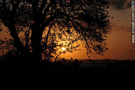 Atardecer en el día del Patrimonio - Departamento de Montevideo - URUGUAY. Foto No. 32855
