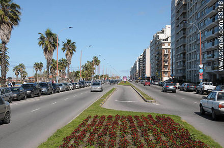 Gandhi promenade at Punta Carretas quarter - Department of Montevideo - URUGUAY. Photo #33018