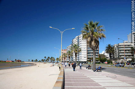 Pocitos boardwalk - Department of Montevideo - URUGUAY. Photo #33006