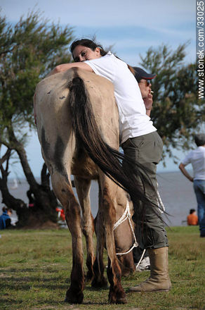 Voluntaria dando cariño a uno de los caballos recuperados de maltrato en el Día Mundial de los Animales. Montevideo, Uruguay. - Fauna - IMÁGENES VARIAS. Foto No. 33025