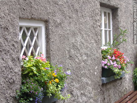 Planters in front of windows of a house - Ireland - BRITISH ISLANDS. Foto No. 48277