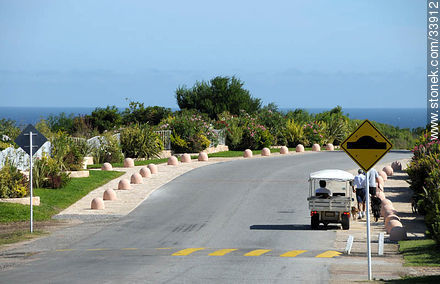 Paseo de perros por la ruta de Punta Ballena - Punta del Este y balnearios cercanos - URUGUAY. Foto No. 33912
