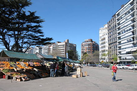 Villa Biarritz market fair at Leyenda Patria st. - Department of Montevideo - URUGUAY. Foto No. 34150