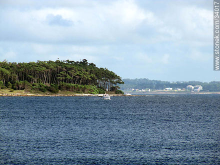 Gorriti Island - Punta del Este and its near resorts - URUGUAY. Foto No. 34017