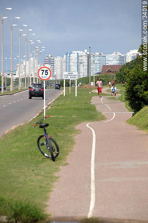 Senda peatonal y de bicicletas en Playa Brava - Punta del Este y balnearios cercanos - URUGUAY. Foto No. 34019