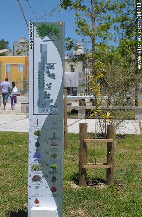 Parque Seregni. Guía de especies vegetales. - Departamento de Montevideo - URUGUAY. Foto No. 34411