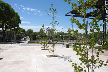 Parque Seregni.  Vista desde la esquina de Eduardo Víctor Haedo y Martín C. Martínez. Árboles en crecimiento. - Departamento de Montevideo - URUGUAY. Foto No. 34377