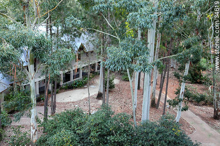 Jardín interior - Departamento de Colonia - URUGUAY. Foto No. 34619