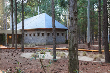 Pinar del hotel Four Seasons - Departamento de Colonia - URUGUAY. Foto No. 34616