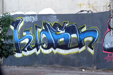 Graffitis in Buceo quarter - Department of Montevideo - URUGUAY. Foto No. 34605