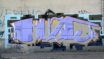 Graffitis in Buceo quarter - Department of Montevideo - URUGUAY. Foto No. 34598