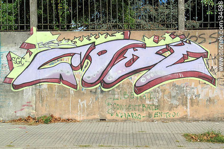 Graffitis in Buceo quarter - Department of Montevideo - URUGUAY. Foto No. 34588