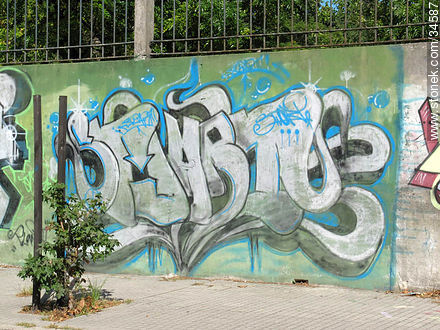 Graffitis in Buceo quarter - Department of Montevideo - URUGUAY. Foto No. 34587
