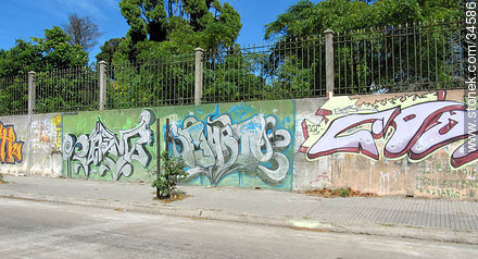 Graffitis in Buceo quarter - Department of Montevideo - URUGUAY. Foto No. 34586