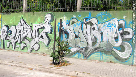 Graffitis in Buceo quarter - Department of Montevideo - URUGUAY. Foto No. 34585