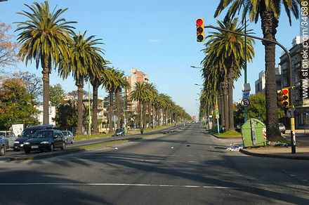 Bulevar Artigas - Departamento de Montevideo - URUGUAY. Foto No. 34686