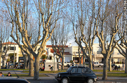 Boulevard beside the river - Soriano - URUGUAY. Foto No. 34784