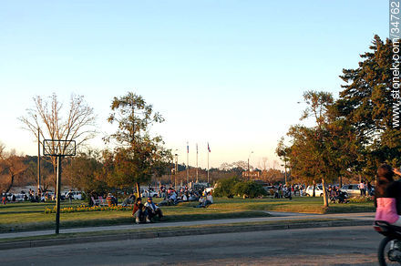 Boulevard beside the river - Soriano - URUGUAY. Foto No. 34762