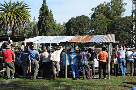 Ranching auction. - Department of Colonia - URUGUAY. Photo #34927