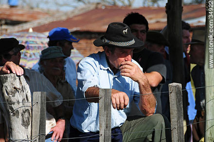 Ranching auction. - Department of Colonia - URUGUAY. Photo #34922
