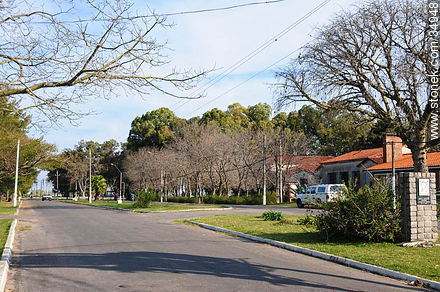 Avenue of Carmelo - Department of Colonia - URUGUAY. Foto No. 34948
