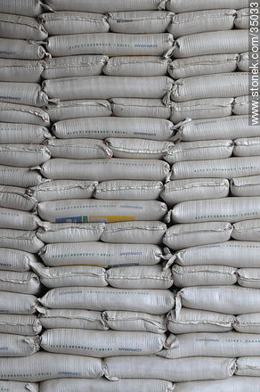 Bolsas de granos en depósito - Departamento de Río Negro - URUGUAY. Foto No. 35033