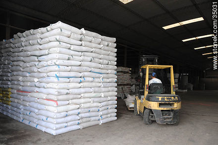 Bolsas de granos en depósito - Departamento de Río Negro - URUGUAY. Foto No. 35031