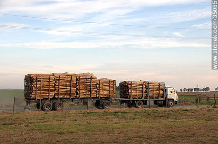 Truck with truncks - Rio Negro - URUGUAY. Foto No. 35085
