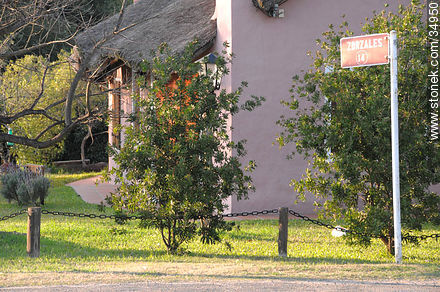 Balneario Las Cañas. Calle Zorzales - Departamento de Río Negro - URUGUAY. Foto No. 34950