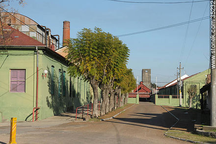 Parque Industrial Municipal. Ex frigorífico Anglo - Departamento de Río Negro - URUGUAY. Foto No. 35232