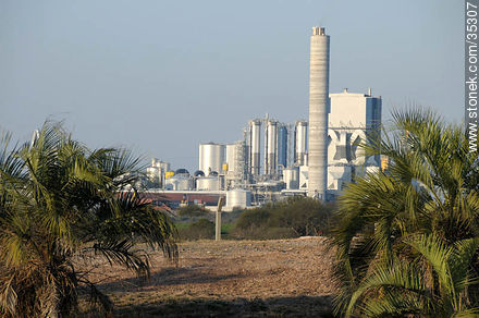 Planta de proceso de pasta de celulosa - Departamento de Río Negro - URUGUAY. Foto No. 35307