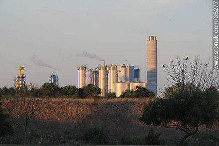 UPM industrial plant - Rio Negro - URUGUAY. Photo #35277