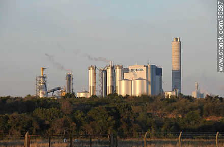 UPM industrial plant - Rio Negro - URUGUAY. Photo #35287