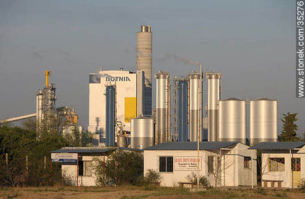 UPM industrial plant - Rio Negro - URUGUAY. Photo #35276
